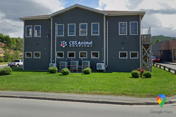 CBS Animal Hospital
