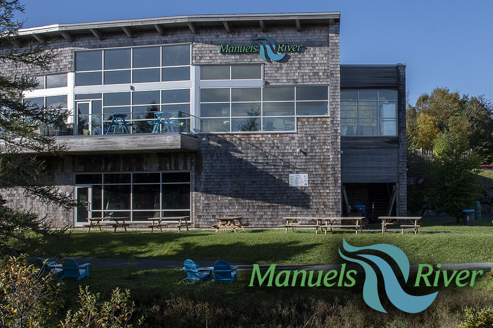 Manuels River Restaurant