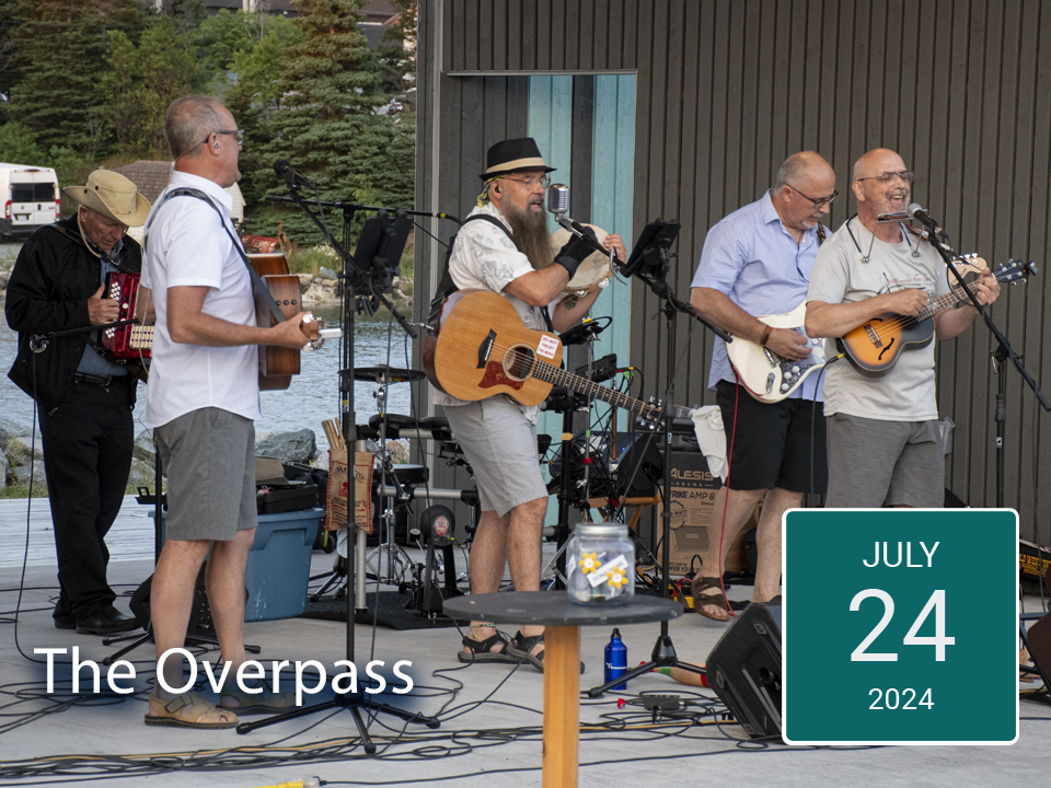 overpass community park downtown conception bay south 2024.