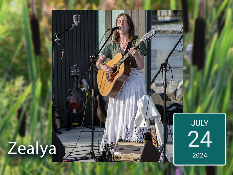 zealya community park downtown conception bay south 2024.