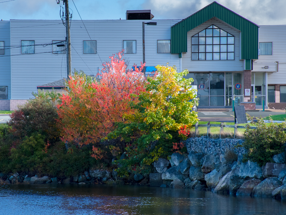 Villa Nova Pharmacy Fall waterfront