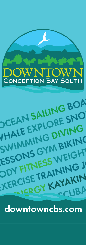 DCBS activities text pole banner